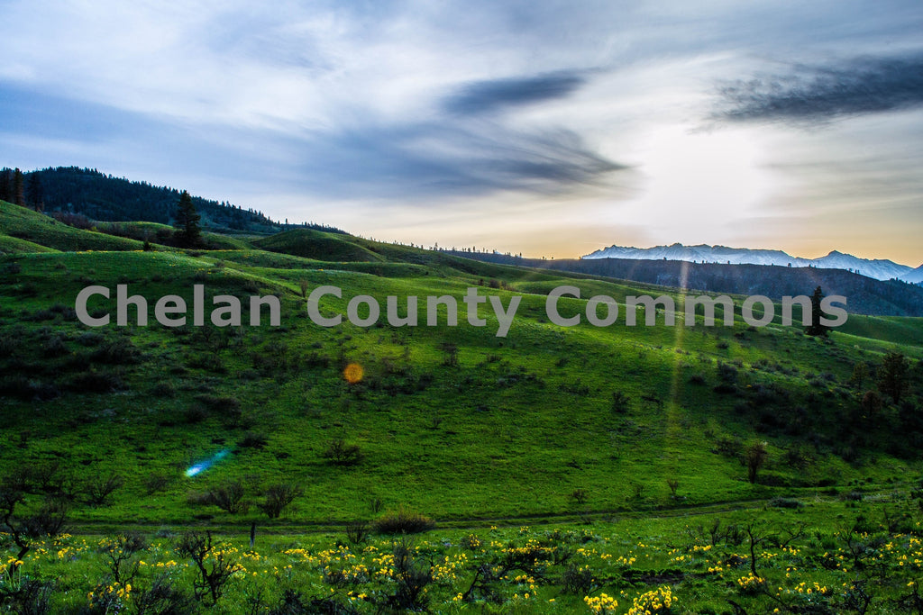 Rolling Green Hills, by Brian Mitchell | Capture Wenatchee