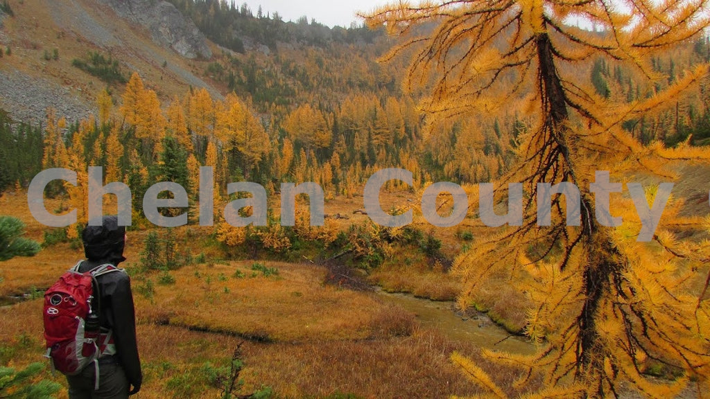 Fall Larch Hike at Carne Mountain, by Scott Ptolemy | Capture Wenatchee