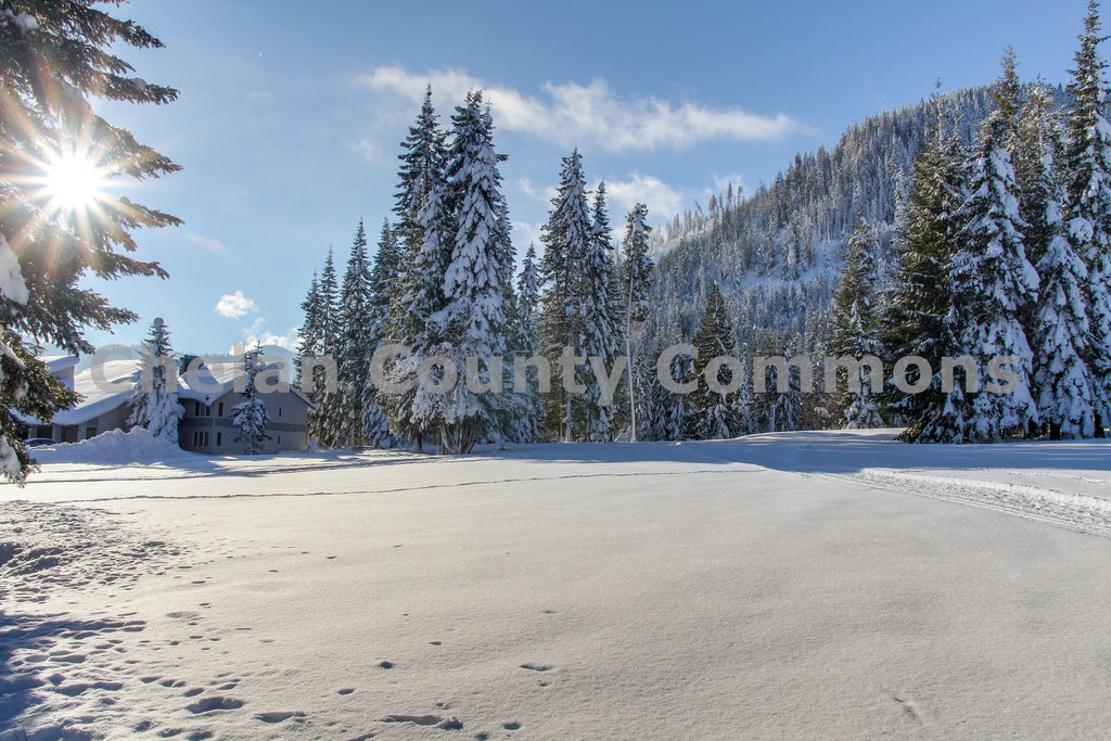 Snow Meadow Field, by Travis Knoop | Capture Wenatchee