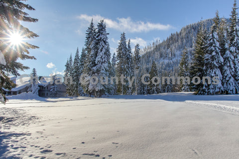 Snow Meadow Field