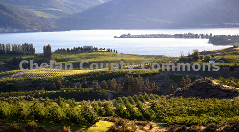 Lake Chelan Wine & Orchard Country
