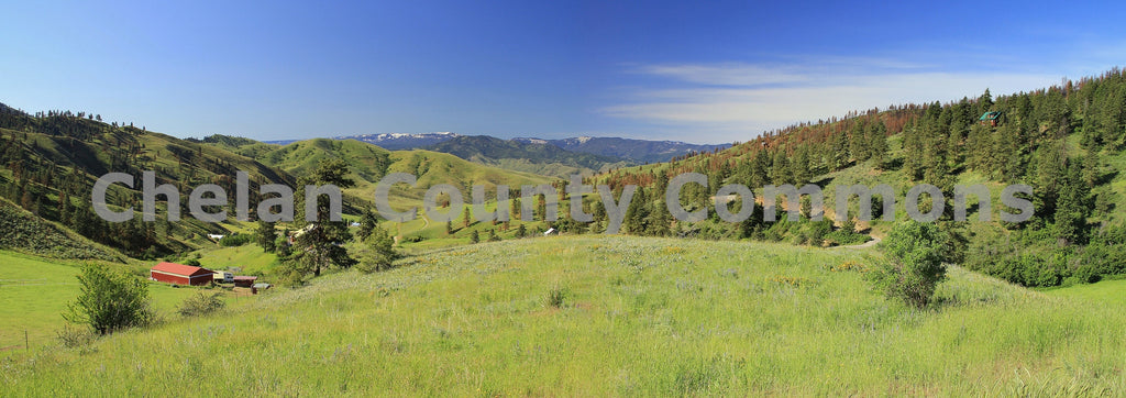 Green Mountain Meadow, by Travis Knoop | Capture Wenatchee