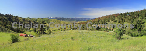 Green Mountain Meadow