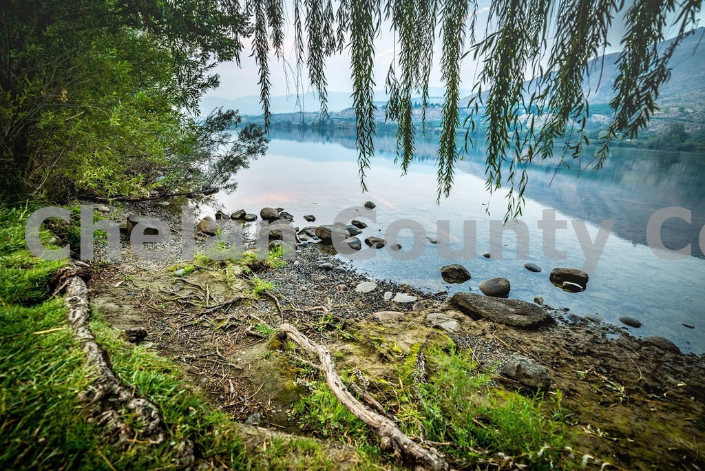 Columbia River Mossy Shoreline, by Brian Mitchell | Capture Wenatchee