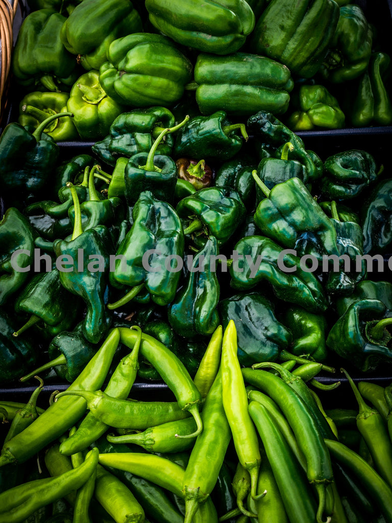 Peppers at Wenatchee Farmers Market, by Randy Dawson | Capture Wenatchee