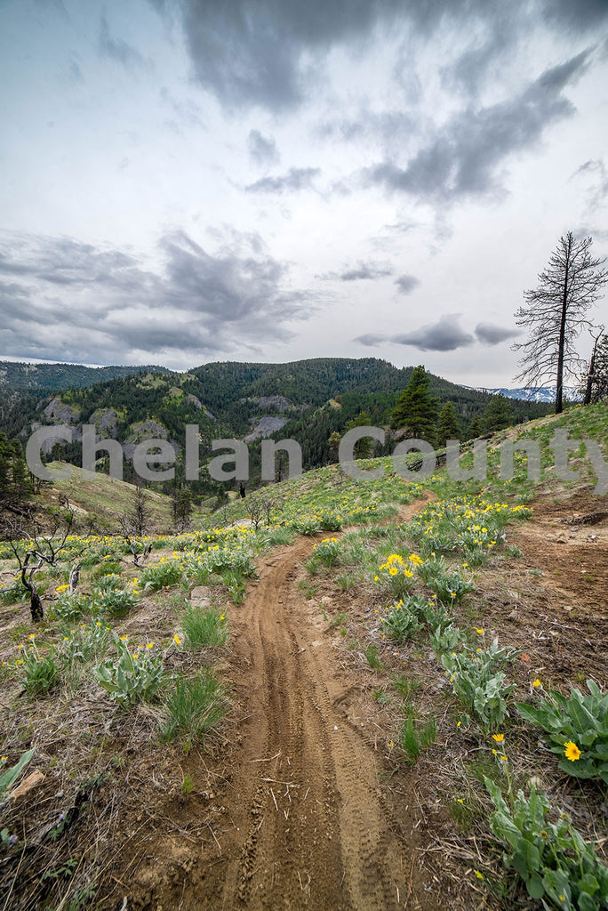 Twin Peaks Mountain Biking Trail, by Brian Mitchell | Capture Wenatchee