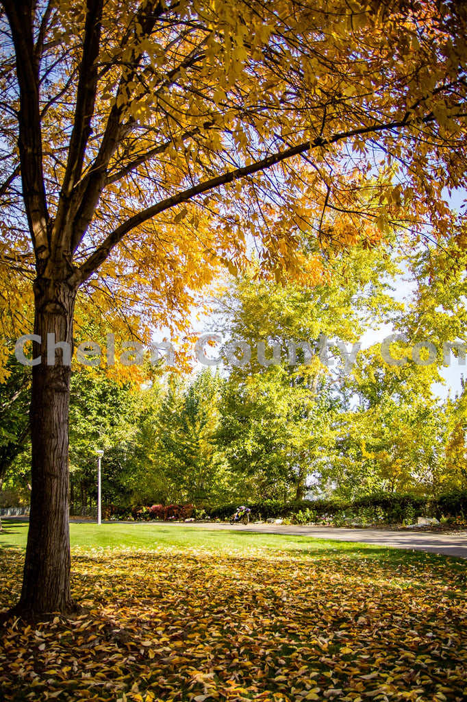 Waterfront Park Fall Colors, by Josh Cadd | Capture Wenatchee