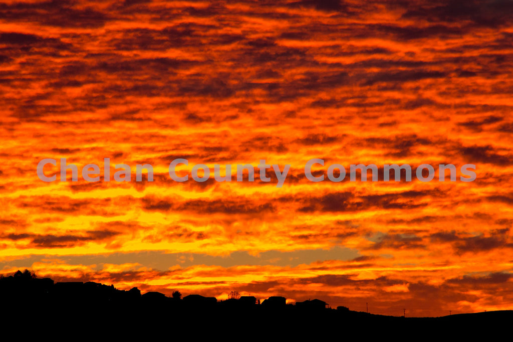 Orange Sunrise Silhouettes , by Josh Cadd | Capture Wenatchee