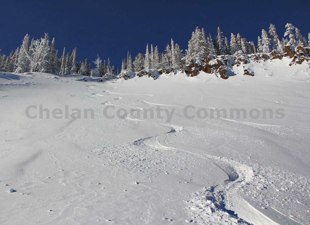 Ski Powder Tracks, by Jared Eygabroad | Capture Wenatchee