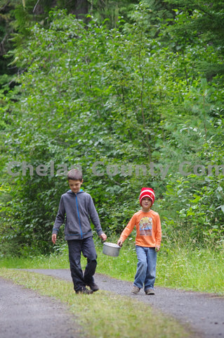 Boys Walking in Woods