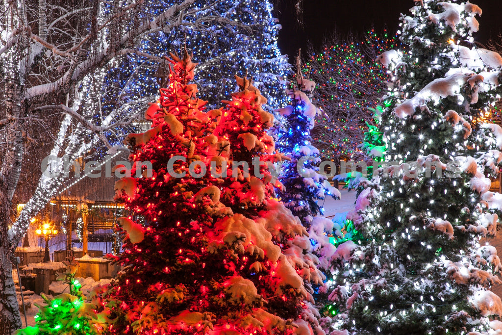 Christmas Tree Lights, by Travis Knoop | Capture Wenatchee