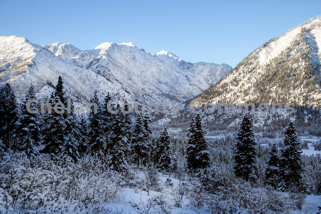 Snow Forest Leavenworth, by Travis Knoop | Capture Wenatchee