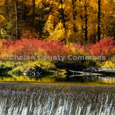 Tumwater in The Fall