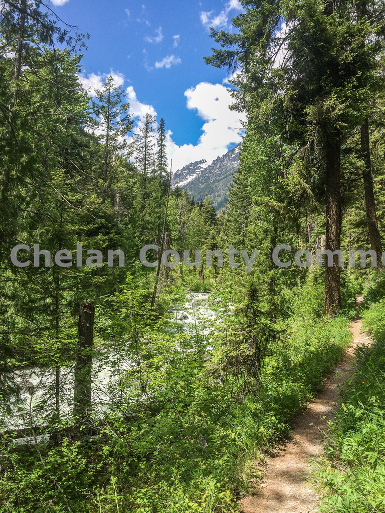 Ingalls Creek Trail - Vertical, by Travis Knoop | Capture Wenatchee