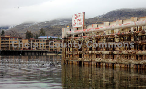 Chelan Winter Ducks & Dock