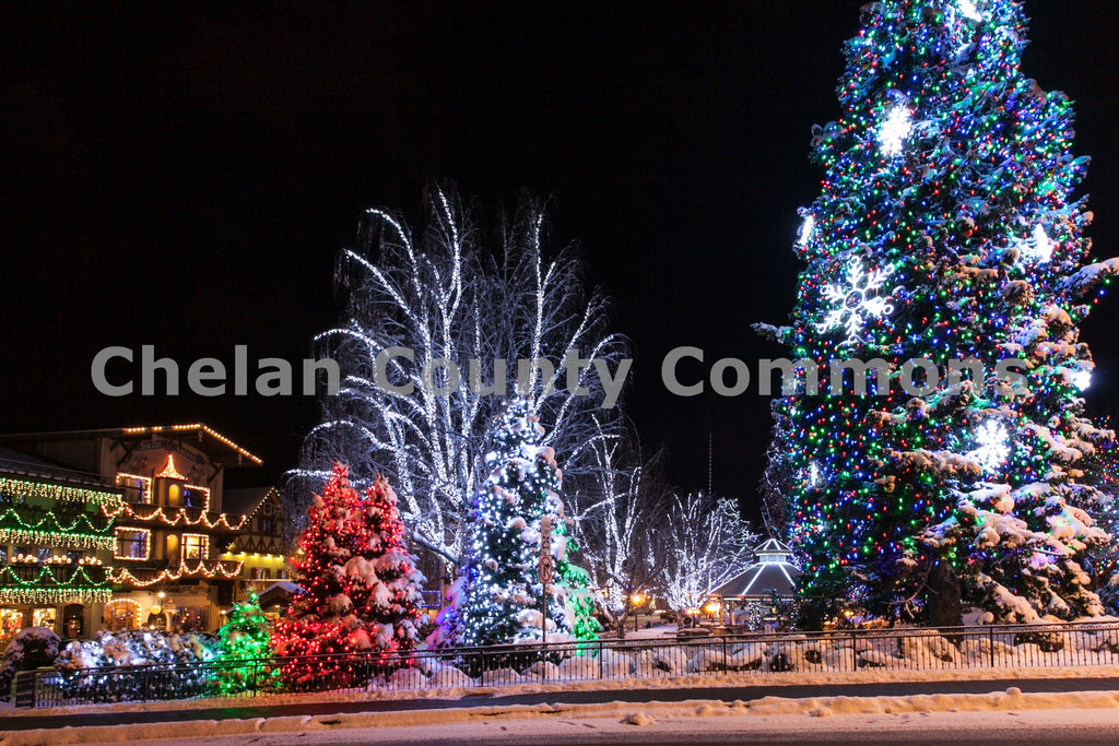 Leavenworth Christmas Tree, by Travis Knoop | Capture Wenatchee