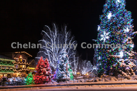 Leavenworth Christmas Tree