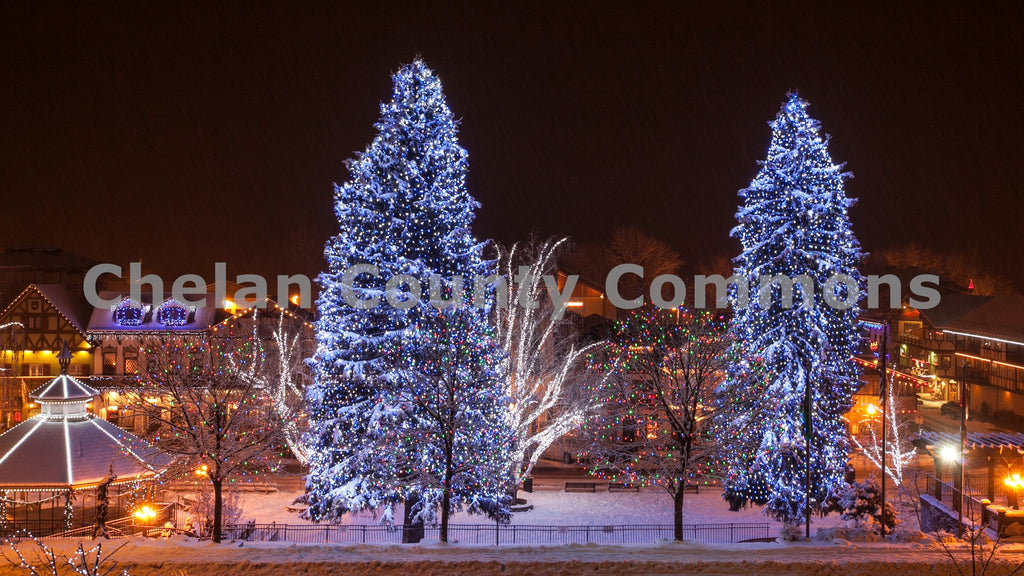 Leavenworth Winter Tree Lights, by Travis Knoop | Capture Wenatchee