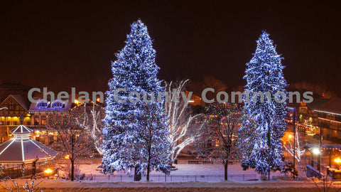 Leavenworth Winter Tree Lights