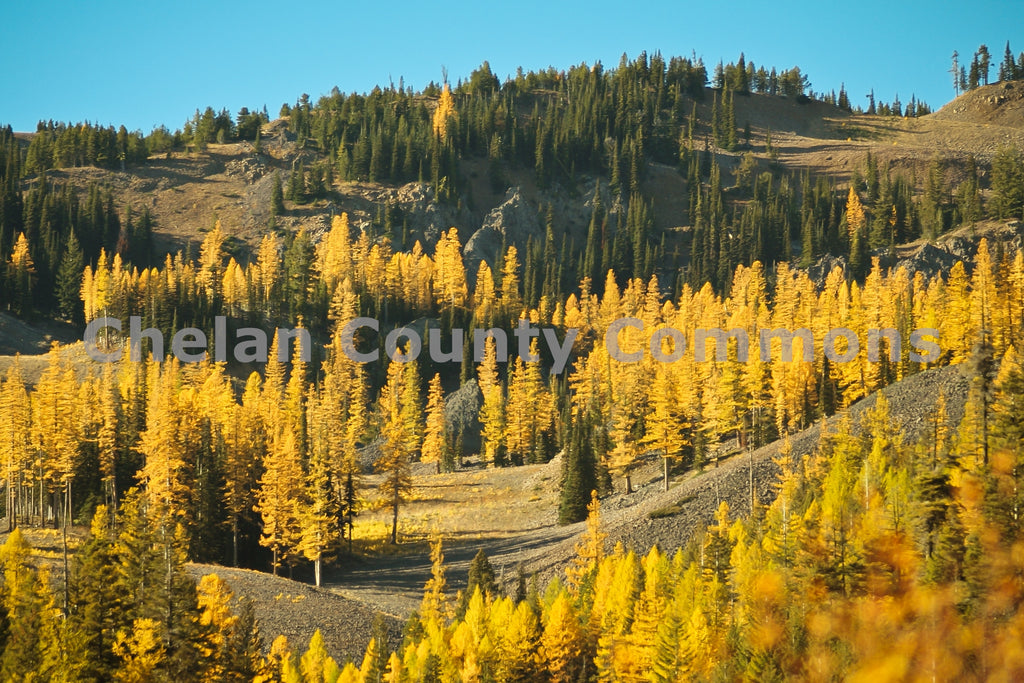 Mission Ridge In The Fall, by Travis Knoop | Capture Wenatchee
