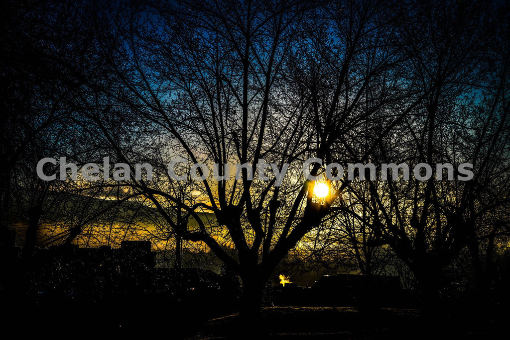 Sunset Trees, by Brian Mitchell | Capture Wenatchee
